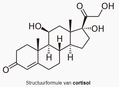 wat is cortisol